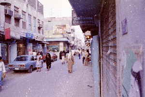 3 313 MyNegsA2P30021 3 313 MyNegsA2P30021