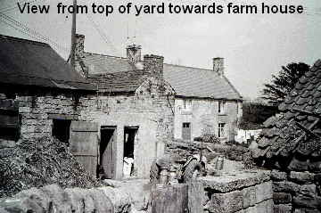 View from top of yard towrds house