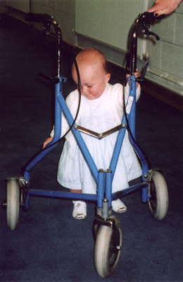 3 Wheel Walking Aid-Not Recognised